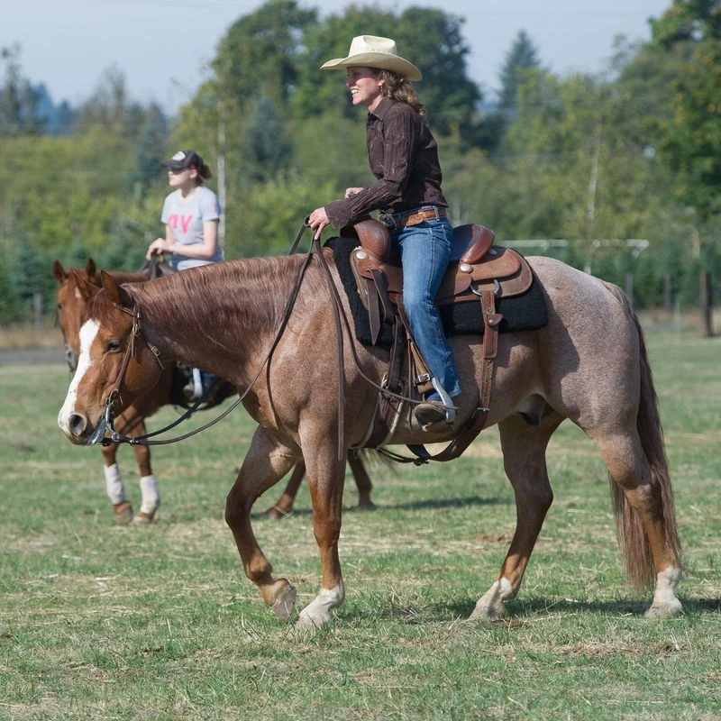 CoolBack Rancher Triple Thick Western Pad - Black 4 CoolBack Rancher Triple Thick Western Pad - Black - Image 2