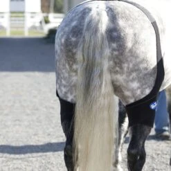 Ice Horse Stifle Wrap - Black -Best Equestrian Supplies 632120 800 800