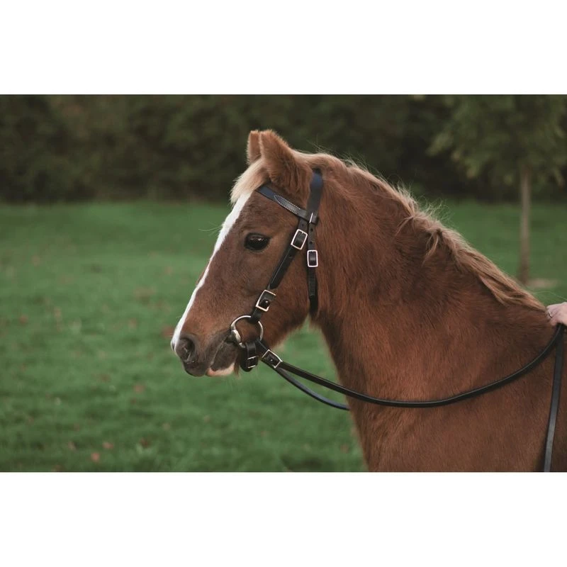 Western Rawhide Plain Pony Bridle With Reins - Chestnut 4 Western Rawhide Plain Pony Bridle With Reins - Chestnut - Image 2