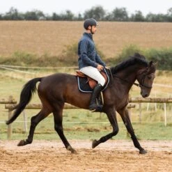 Horze Men's Grand Prix Full Seat Breeches - White -Best Equestrian Supplies 649471 800 800
