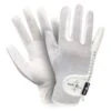 Fair Play Akita Gloves - White 1 Fair Play Akita Gloves - White -Best Equestrian Supplies 656361 800 800