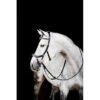 Rambo Micklem 2 Multi Bridle - Black -Best Equestrian Supplies 665905 800 800