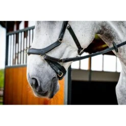 Rambo Micklem 2 Multi Bridle - Black -Best Equestrian Supplies 665908 800 800