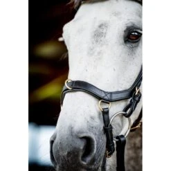 Rambo Micklem 2 Multi Bridle - Black -Best Equestrian Supplies 665909 800 800