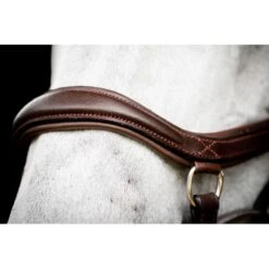 Rambo Micklem 2 Deluxe Competition Bridle W/Reins - Dark Havana 8 Rambo Micklem 2 Deluxe Competition Bridle W/Reins - Dark Havana -Best Equestrian Supplies 665952 800 800