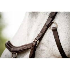 Rambo Micklem 2 Deluxe Competition Bridle W/Reins - Dark Havana 9 Rambo Micklem 2 Deluxe Competition Bridle W/Reins - Dark Havana -Best Equestrian Supplies 665953 800 800