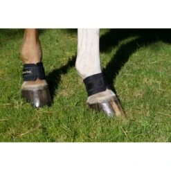 Back On Track Pastern/Fetlock Band - Black -Best Equestrian Supplies 669287 800 800