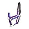 Perri's Ribbon Safety Halter - Purple Llama -Best Equestrian Supplies 671761 800 800