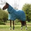 Weatherbeeta Green-Tec 900D Detach-A-Neck Heavy Turnout Blanket - Dragonfly Blue/Bottle Green 2 Weatherbeeta Green-Tec 900D Detach-A-Neck Heavy Turnout Blanket - Dragonfly Blue/Bottle Green -Best Equestrian Supplies 680205 800 800