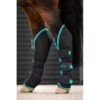 Amigo Travel Boots - Black/Teal/Dark Cherry -Best Equestrian Supplies 680543 800 800