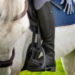 Shires Moretta Women's Gianna Leather Field Boots - Black -Best Equestrian Supplies 685195 800 800