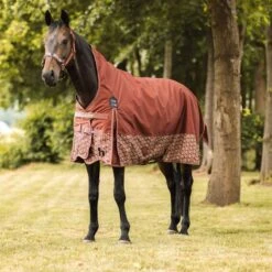Horze Avalanche Medium Weight Turnout Blanket 150g - Smoked Paprika