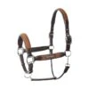 B Vertigo Evolve Leather Halter W/Braided Accents - Leather Brown 1 B Vertigo Evolve Leather Halter W/Braided Accents - Leather Brown -Best Equestrian Supplies 699596 800 800